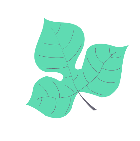 leaf